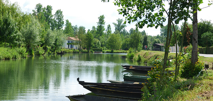 Marais poitevins